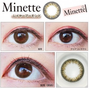 Minette 1Day LayerAlmond 10片装(日拋)