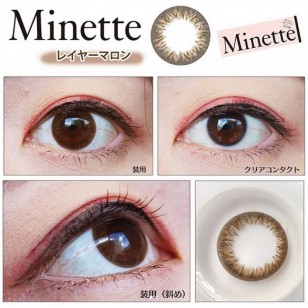 Minette 1Day LayerMarron 10片装(日拋)